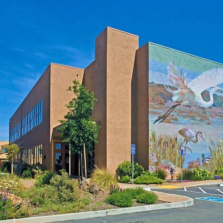 Doubletree By Hilton Napa Valley - אמריקן קניון מראה חיצוני תמונה
