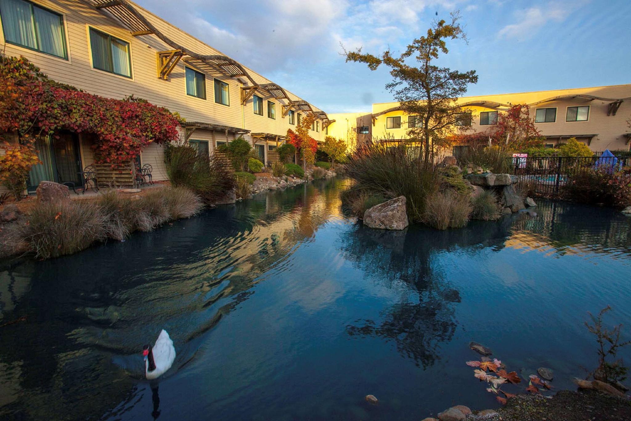 Doubletree By Hilton Napa Valley - אמריקן קניון מראה חיצוני תמונה